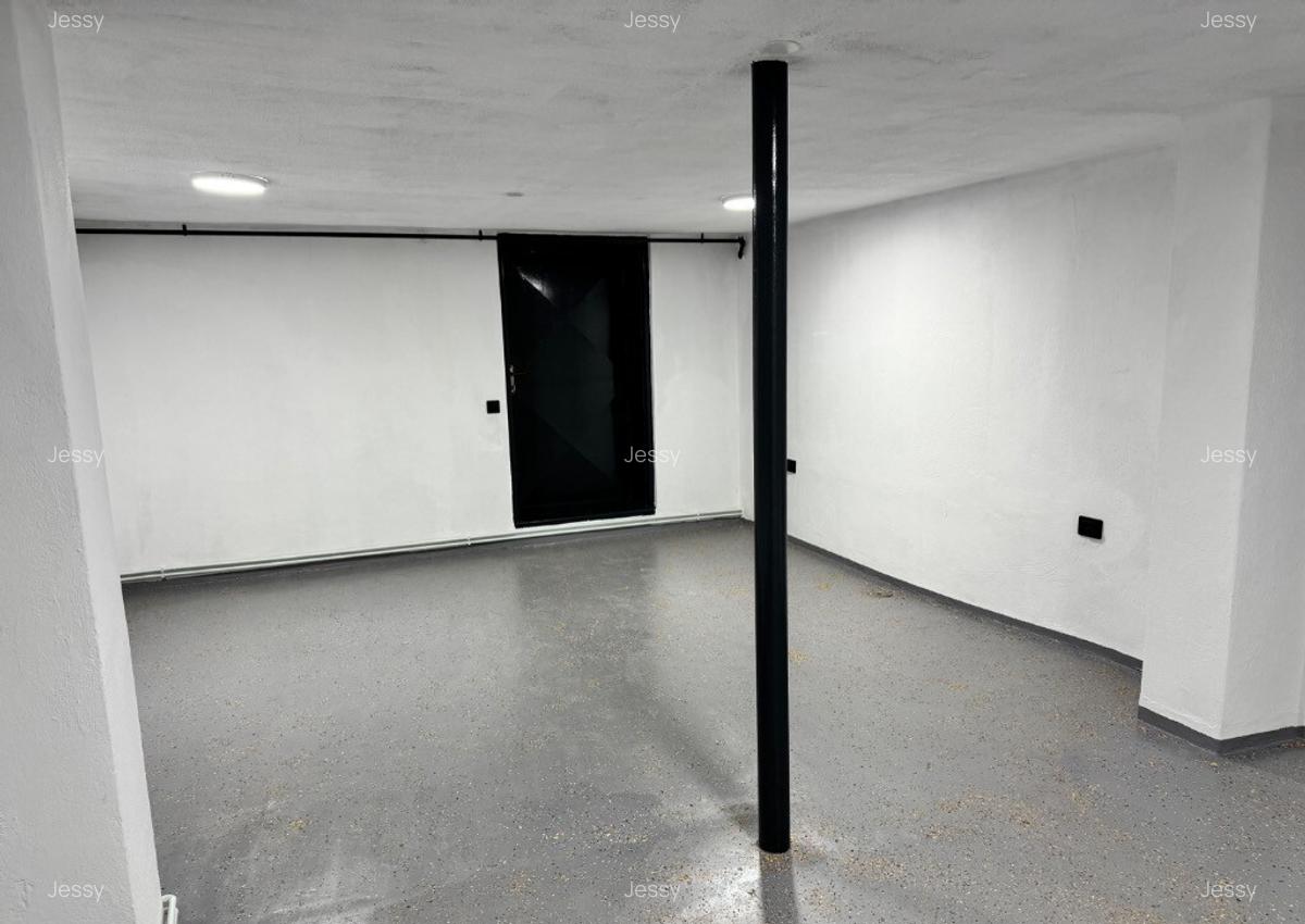 Spa?iu comercial 65mp de inchiriat str. Baba Novac - 3