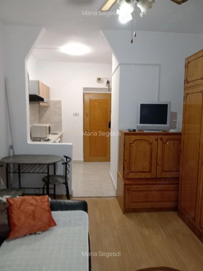 Garzoniera Chirie - 3