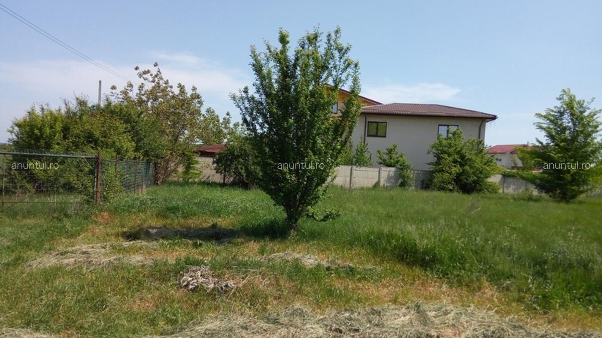 Mogosoaia, str. Ariei, nr. 2, particular - 5 Mogosoaia, str. Ariei, nr. 2, particular - 5