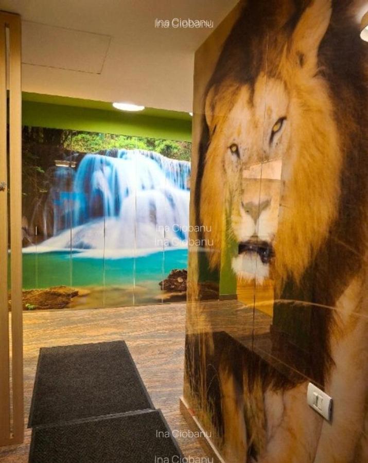 PENTHOUSE LUX statiunea MAMAIA-vedere panoramica lac Marea Neagra - 6