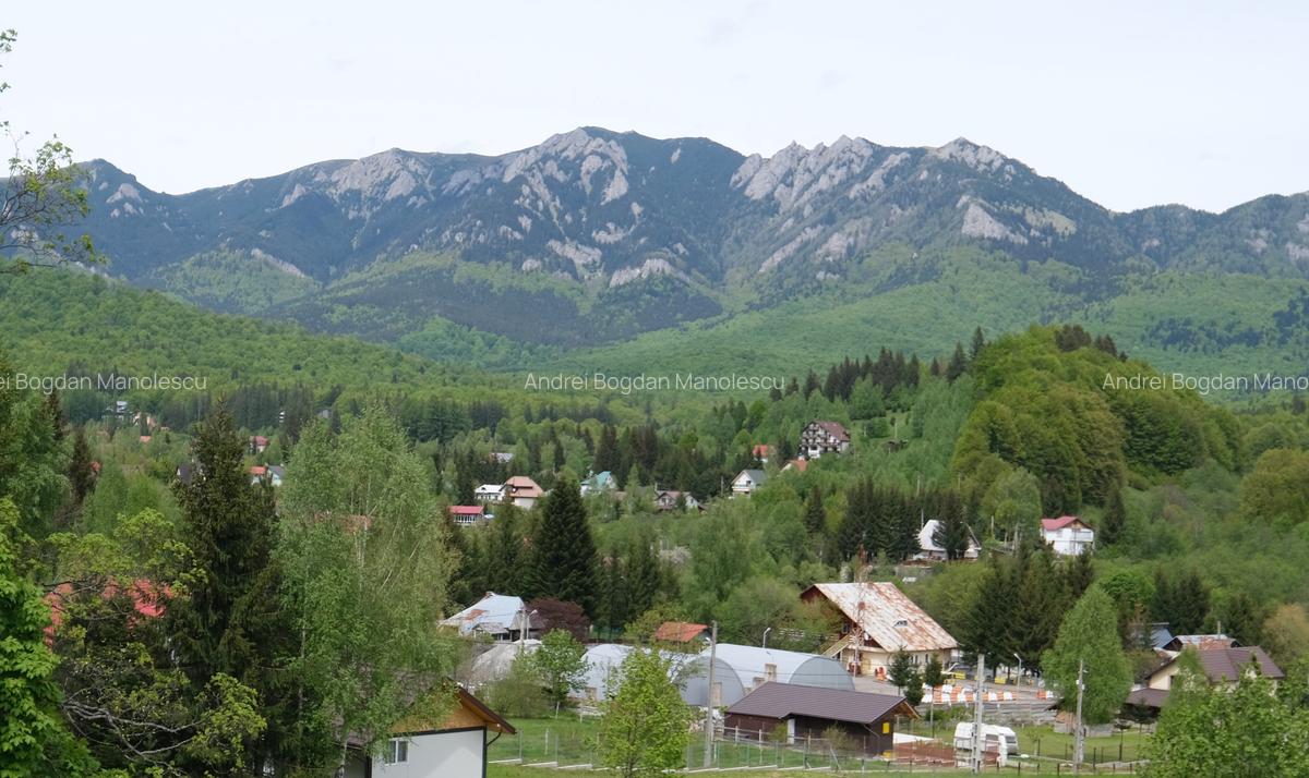 Vanzare vila mare si noua la munte in Cheia judetul Prahova langa padure - 7
