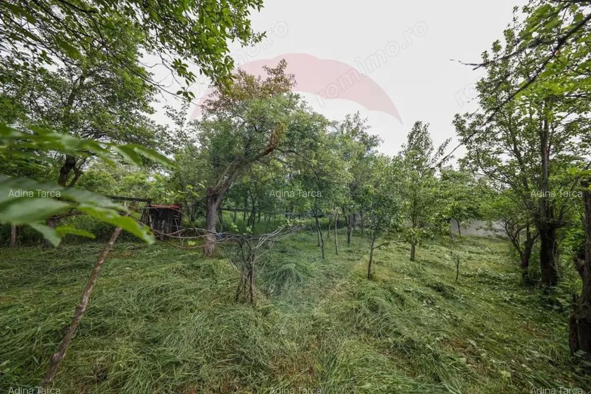 Casa spatioasa cu anexe si gradina in localitatea Ungra/Brasov - 3