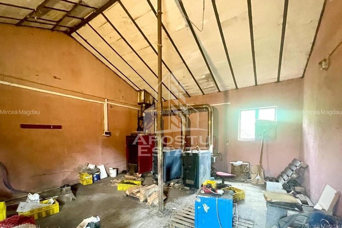 Spatii productie si depozitare, zona Sebis - Prunisor-Carand - 29