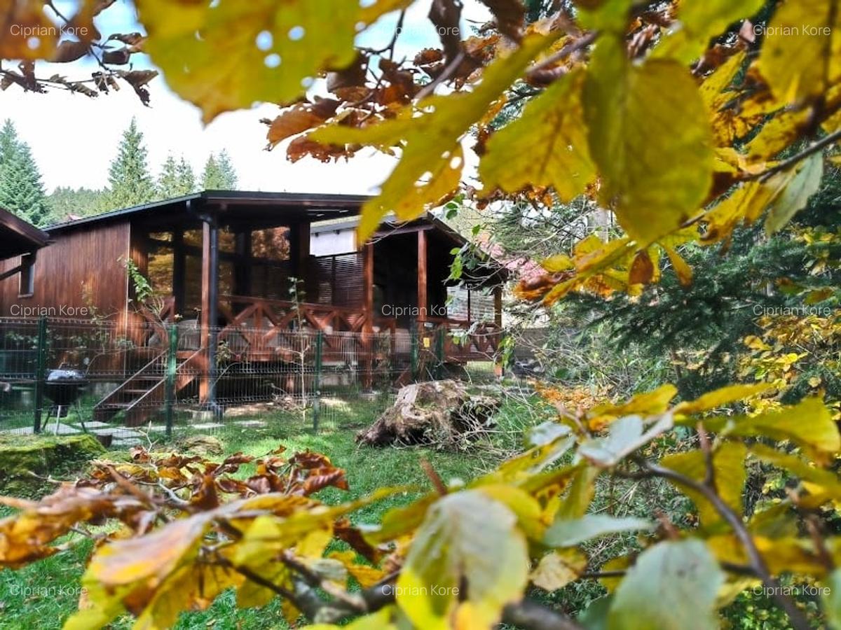 Vila noua de inchiriat in Busteni - 1