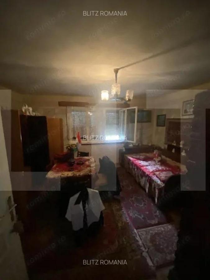 Casa tradi?ionala cu teren generos Belin - 9