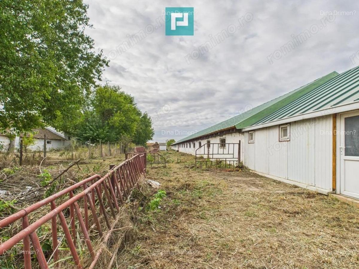 Hala pentru produc?ie / ferma zootehnica - Varia? - 17