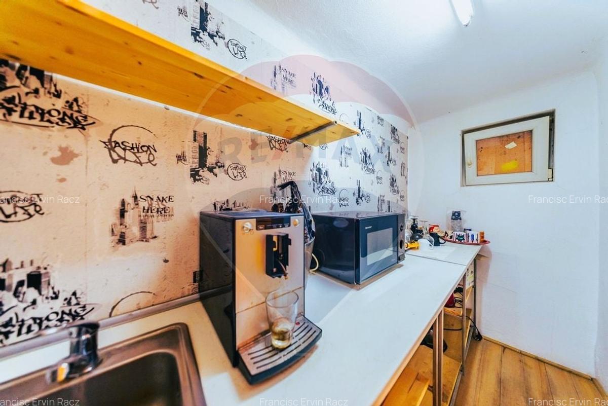 Studio spectaculos pe 2 niveluri in Palatul Neumann, exclusiv - 6
