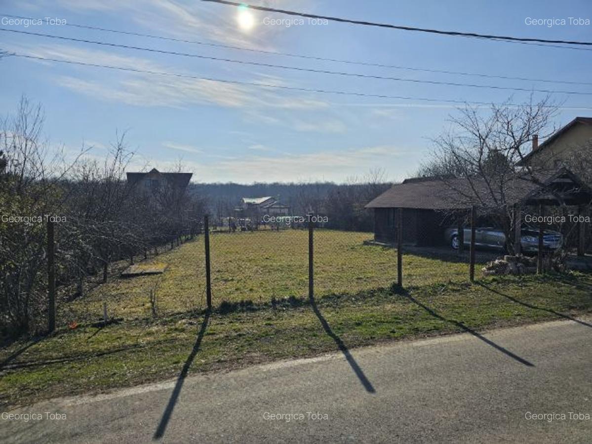 Teren intravilan 1056 mp cu cabană 44 mp, Pasărea – Brănești (Ilfov) - 6