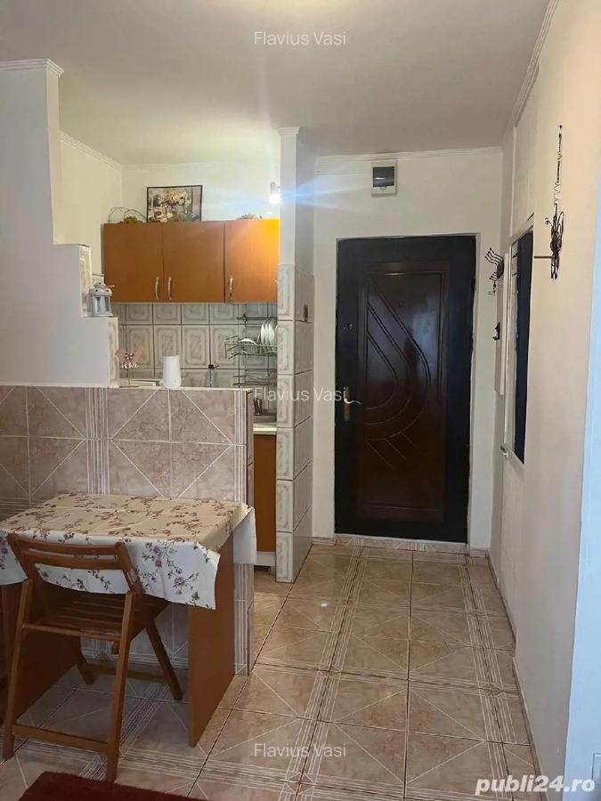 Proprietar - 3
