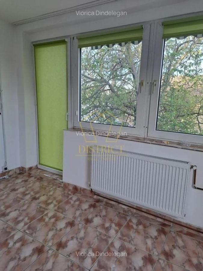 Spatiu comercial util compartimentat I Lipovei - 2