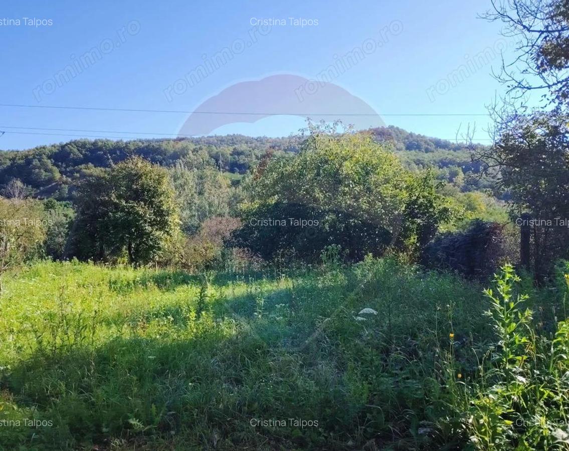 Exclusivitate! Casa cu anexe si teren generos, langa Jibou-Comision 0% - 14