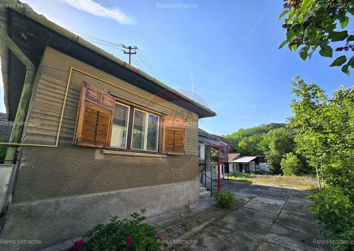 Casa pe un nivel in Medias, teren 533 mp, curte dreapta - 6