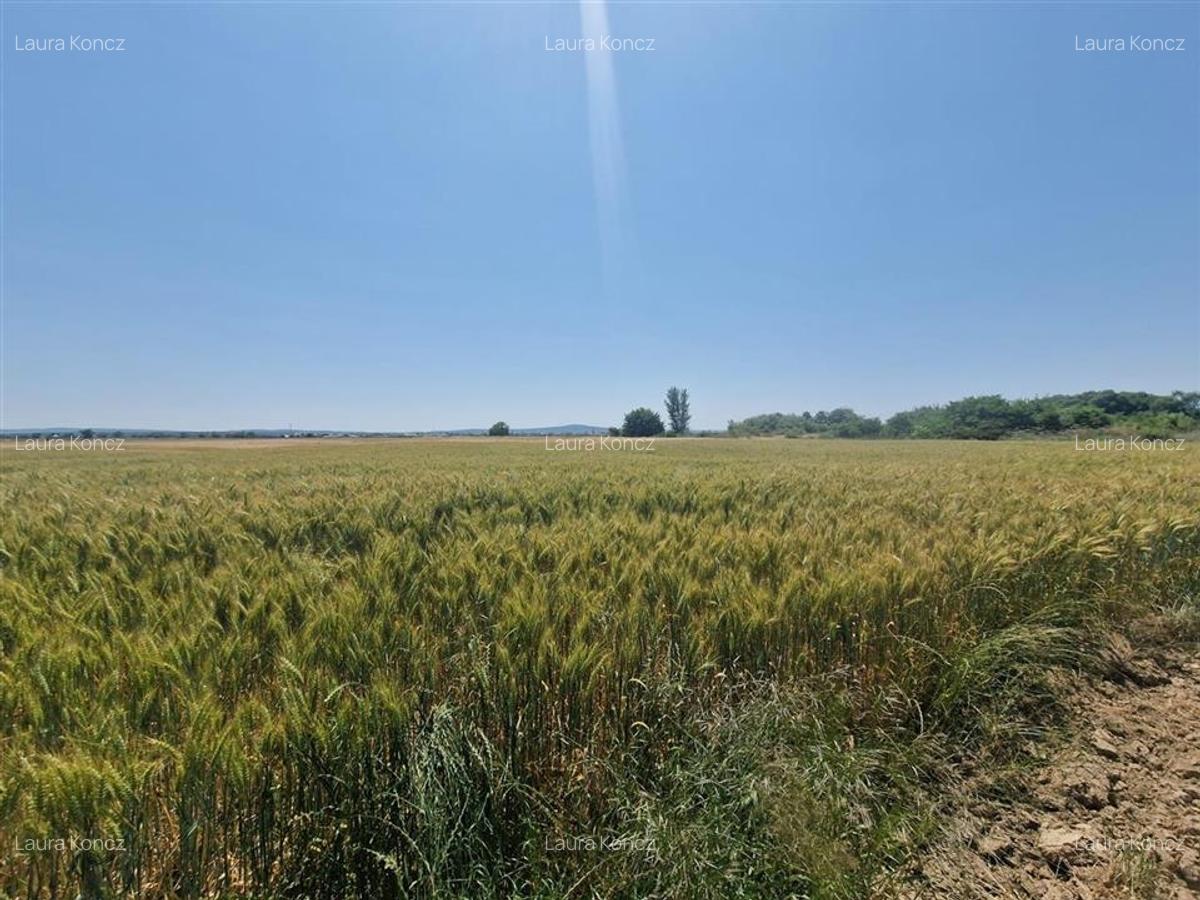 RECO teren intravilan in Fughiu 9 e/mp - 2