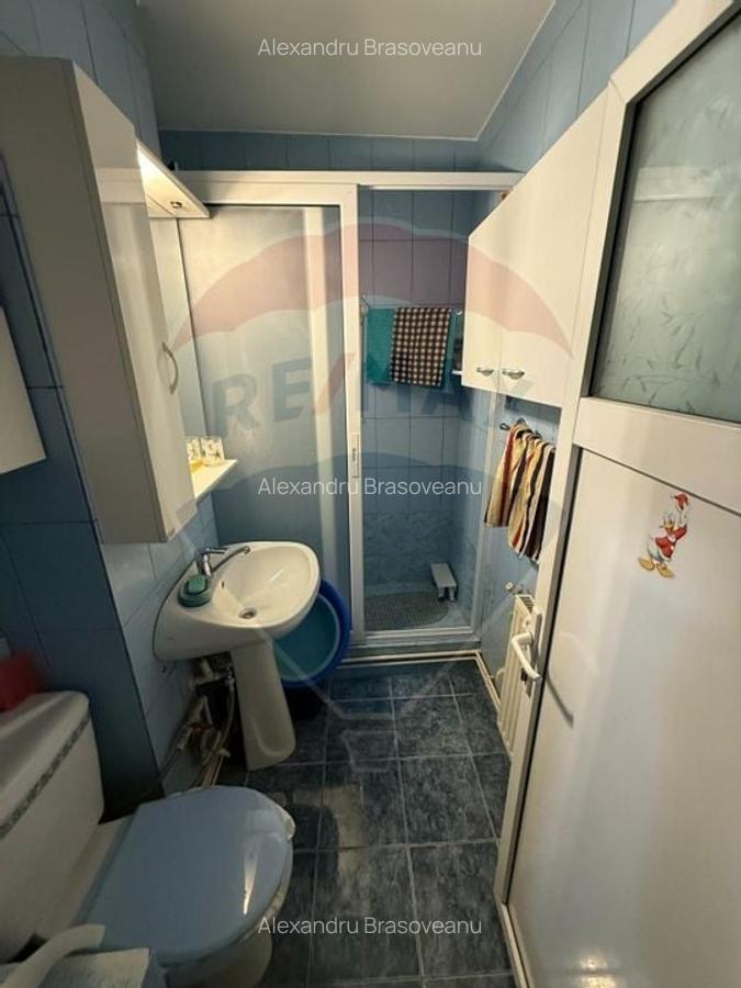 Apartament cu 3 camere de vanzare in zona Calea Bucuresti - 2