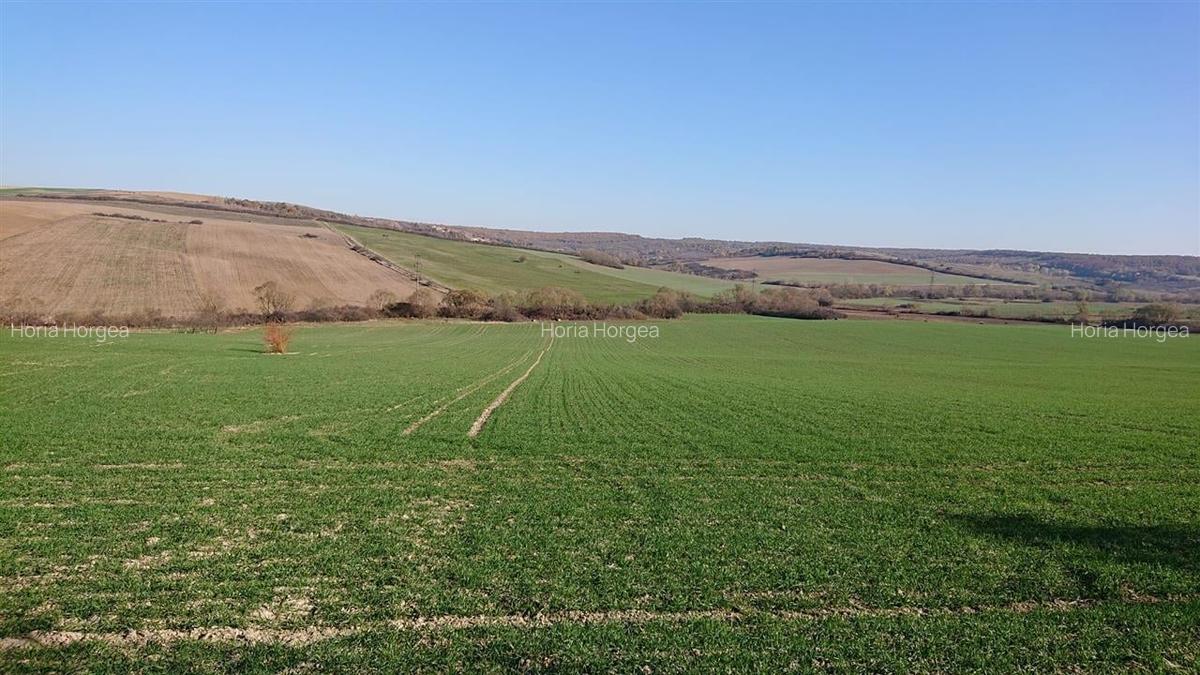 Vand teren in Santelec - 3