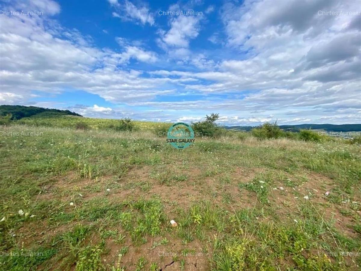 Vand teren intravilan cu suprafata 3300 mp in Livezeni - 4