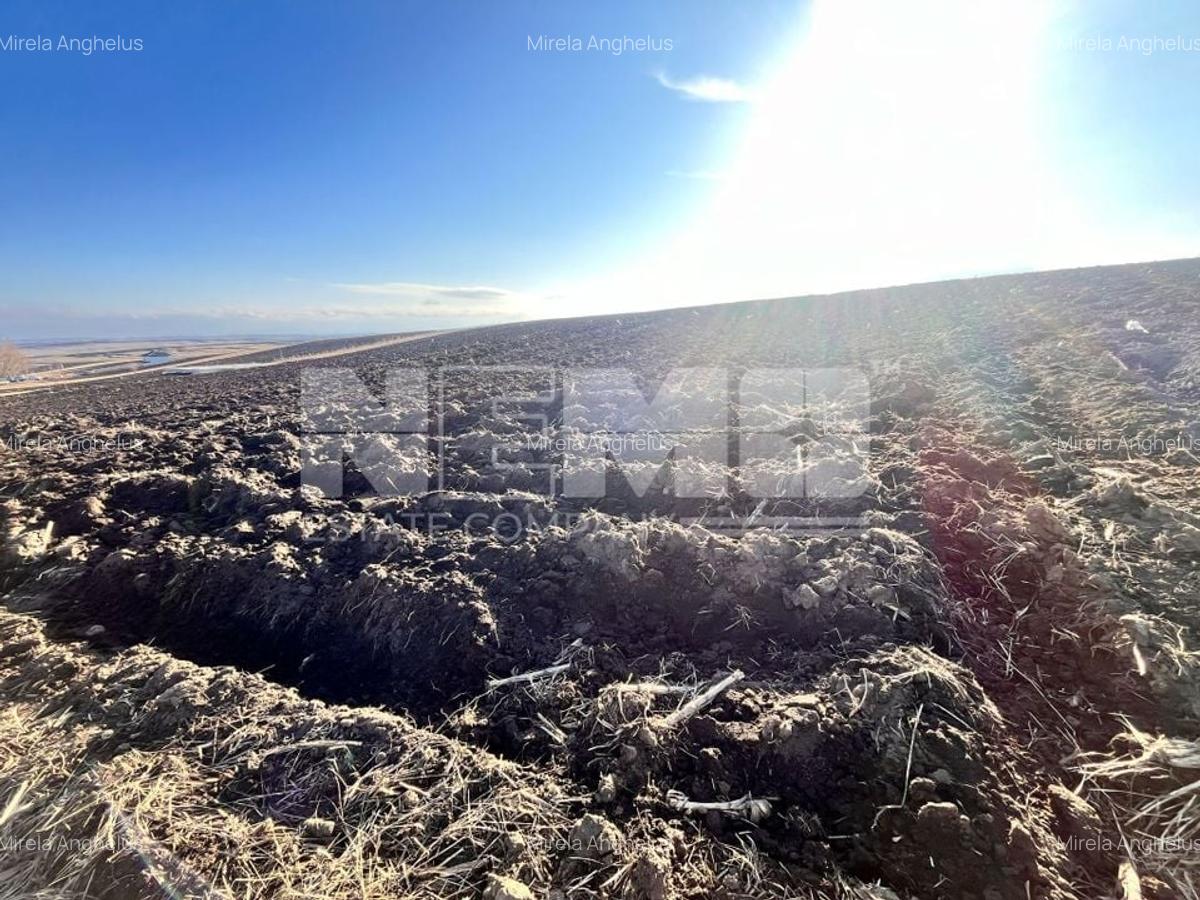 Teren I Suceava I Moara Nica I 2500 Mp I 54.900 Euro - 4