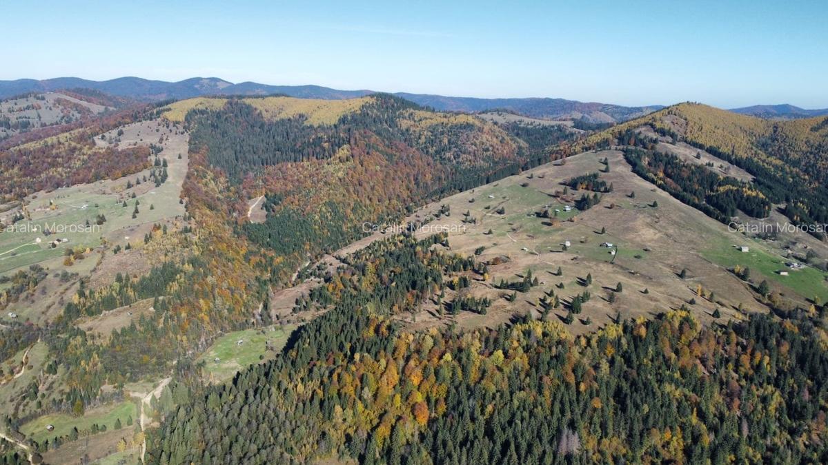 Vindem 80000 mp teren extravilan Bucovina - 3