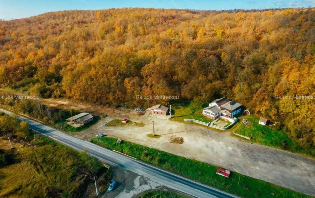 Pensiune 12 camere, vulcanizare, spălătorie pe DN7 - 10