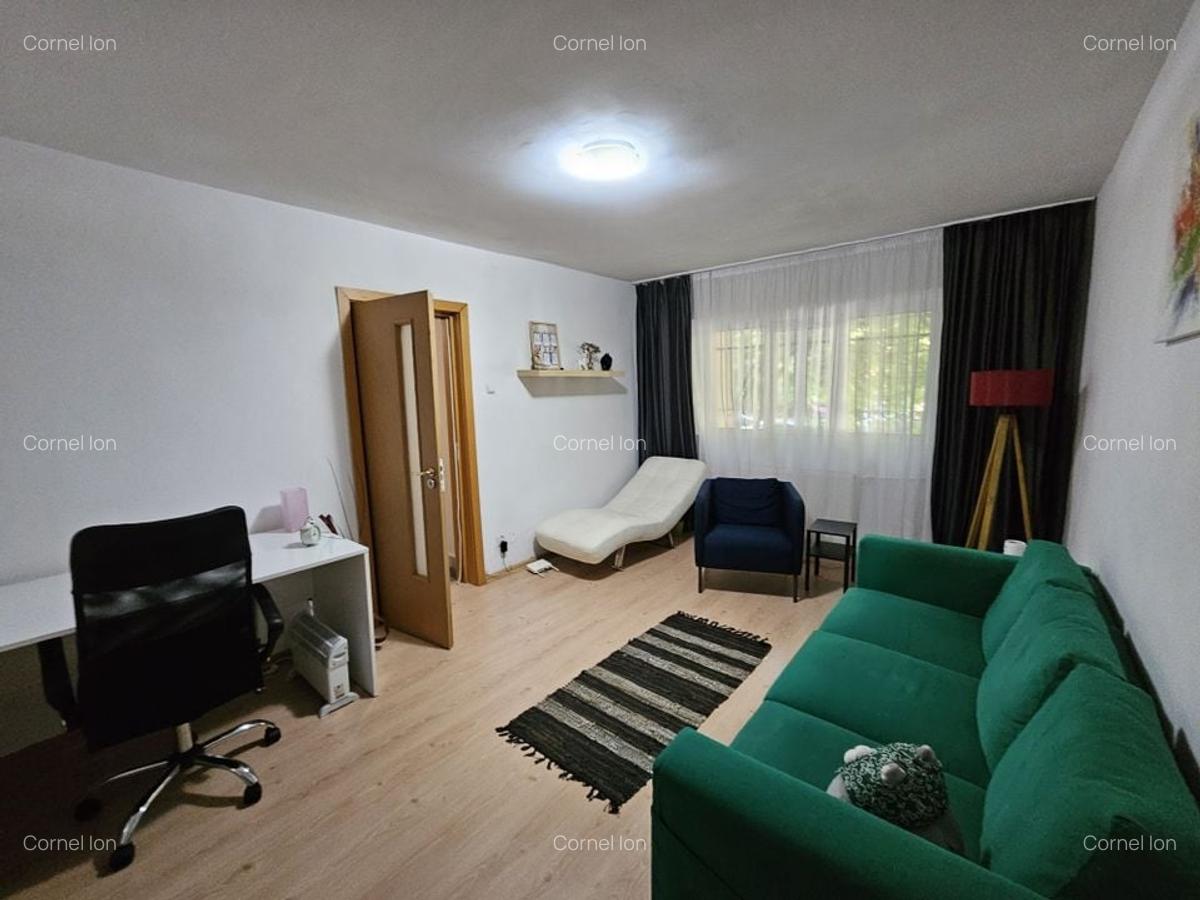 Apartament 2 camere decomandat Bd Tineretului parter -Palatul Copiilor - 3