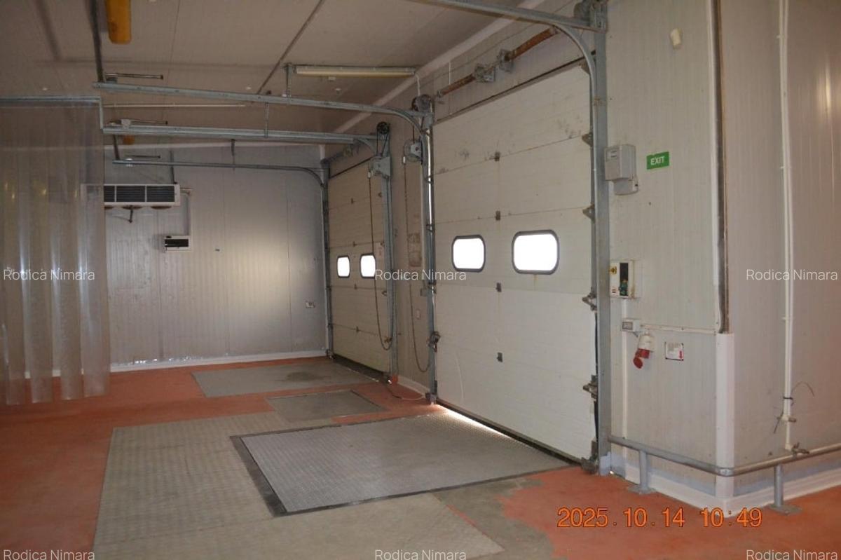 Proprietar vand hala spatiu industrial si teren sos Bucuresti Magurele nr 282 - 4