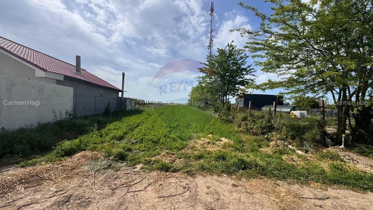 Teren Intravilan, de vanzare, Valea Dacilor, Medgidia - 2 Teren Intravilan, de vanzare, Valea Dacilor, Medgidia - 2