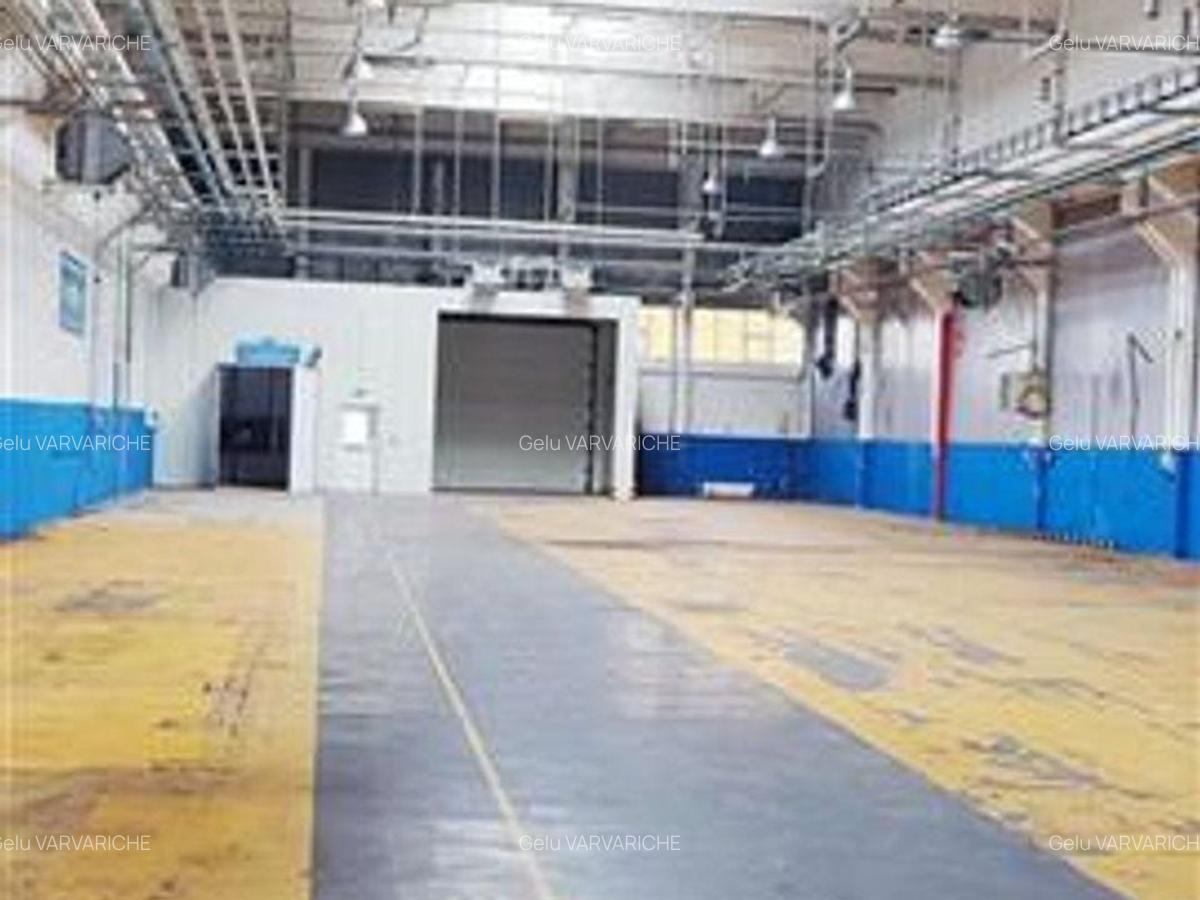 Hale in parcul Roman sau tractorul - 2