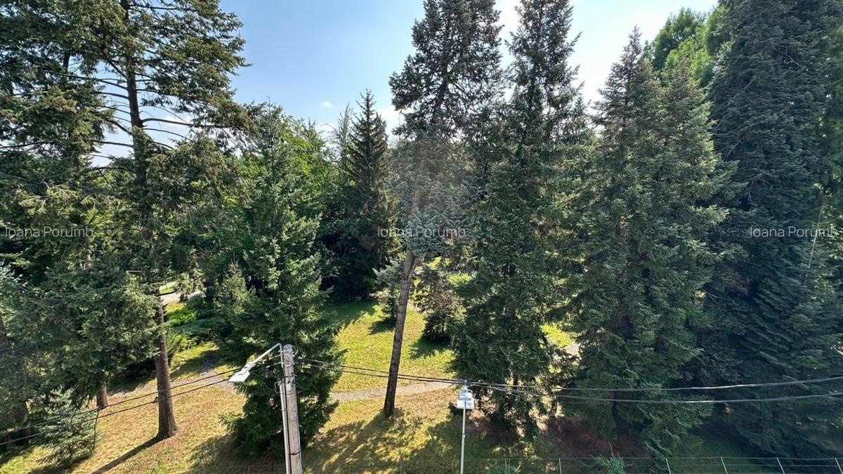 Apartament cu 3 camere de inchiriat- Louis Pasteur-UMF - 9