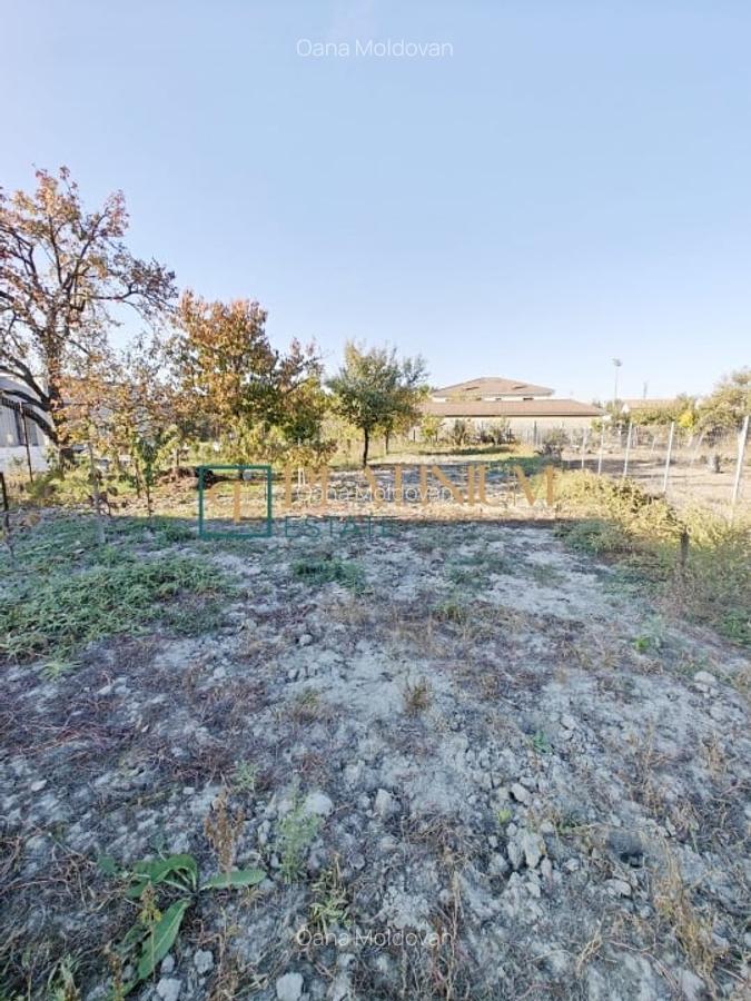 P4695 Casa individuala cu 3 camere in Ghiroda - 11 P4695 Casa individuala cu 3 camere in Ghiroda - 11