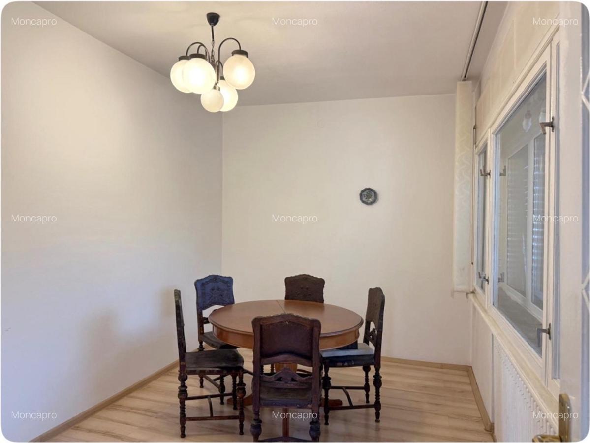 Vila solida si versatila in Cotroceni - gradina, multiple optiuni de utilizare - 5