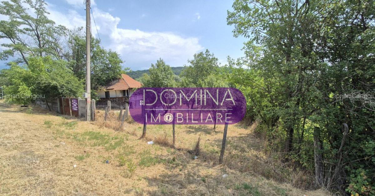 Proprietate in apropiere de complex turistic Mu?ete?ti - 3