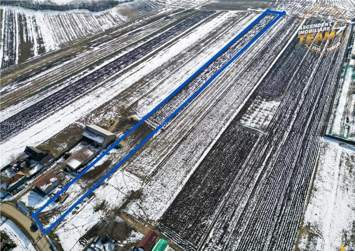 Suprafata intravilan 6.425 mp, oportunitate platforme rezide - 14