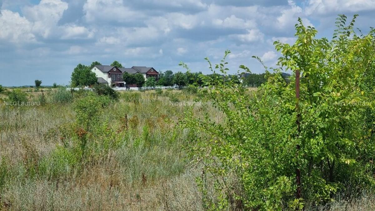 Vanzare Teren intravilan Balotesti Saftica 10000mp - 6