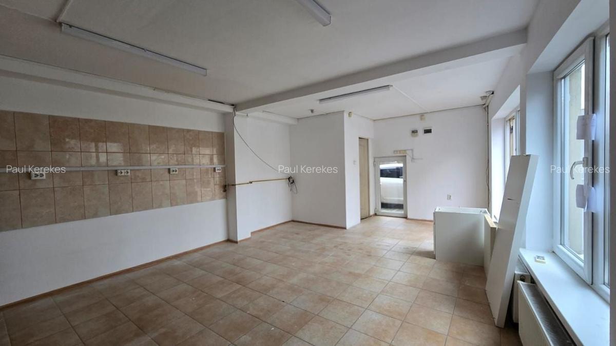 Spatiu comercial de inchiriat 40 mp strada Florilor - 3