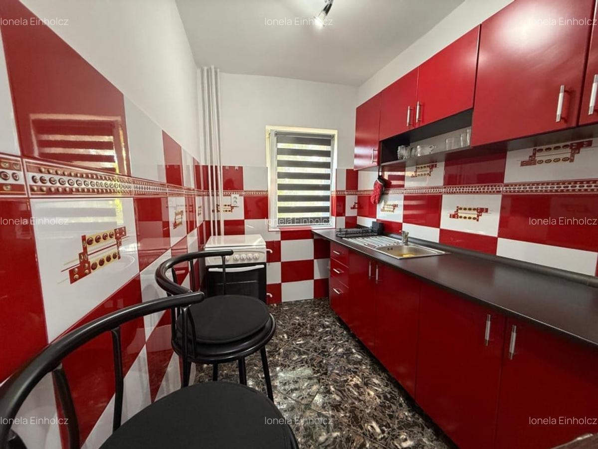 Apartament spatios, 1 camera + balcon, 32 mp utili, etaj 2 - Sagului - 4