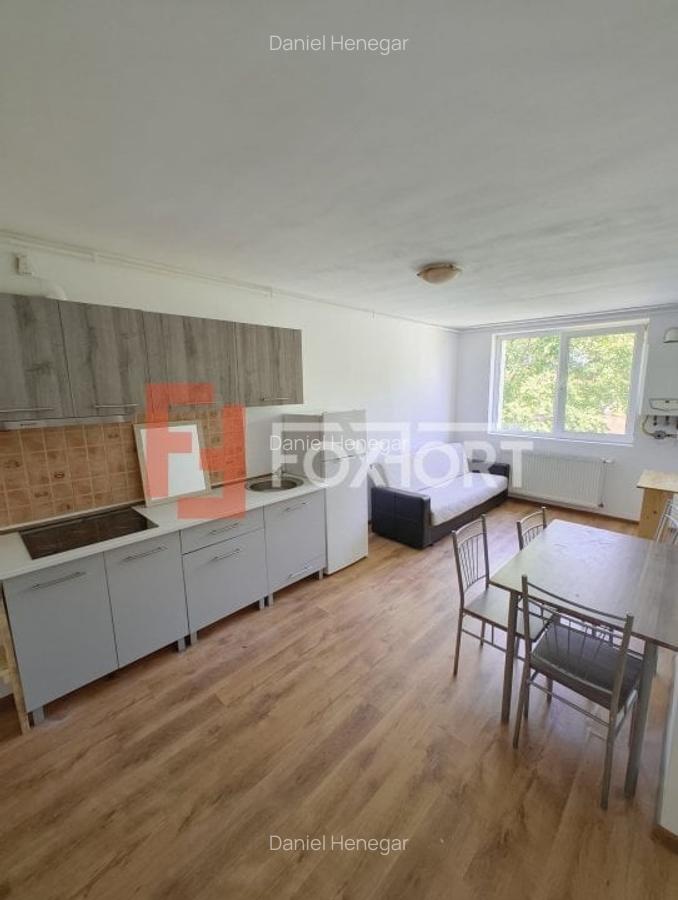 Apartament cu 2 camere semidecomandat, mobilat în Iosefin - 1
