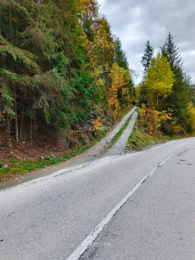 Teren în Arieșeni - 3 Teren în Arieșeni - 3