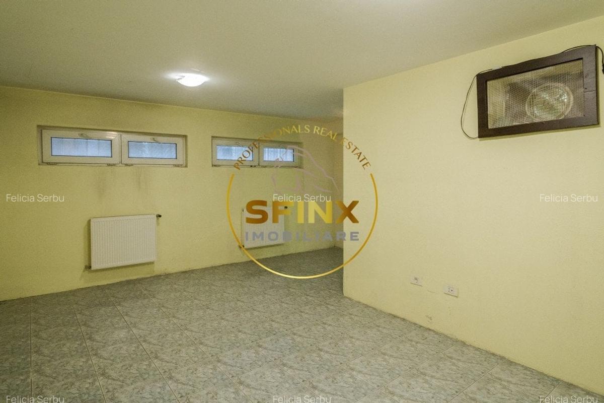 Piata Victoriei - Vila cu gradina proprie, garaj si terasa - 32