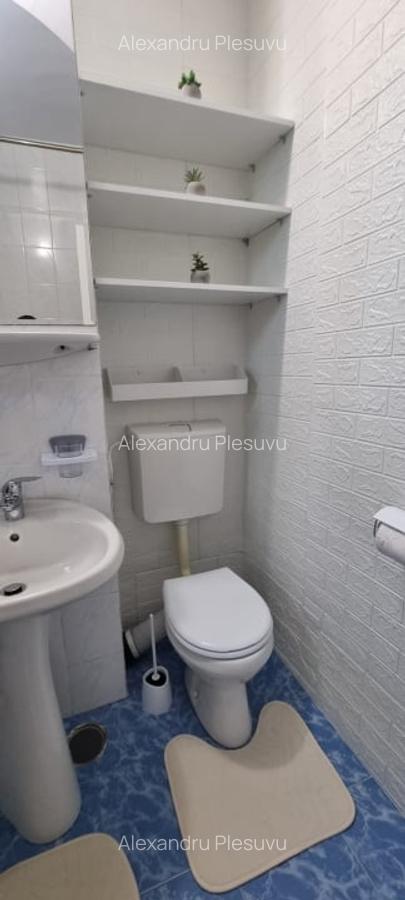 INCHIRIERE-ETAJ 1 LA VILA-COPOU AGRONOMIEI - 9