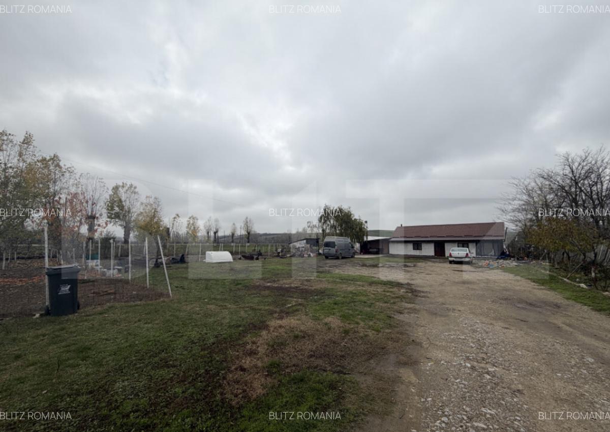 Teren intravilan agricol, sere, anexa agricola, 11500 mp ter - 3