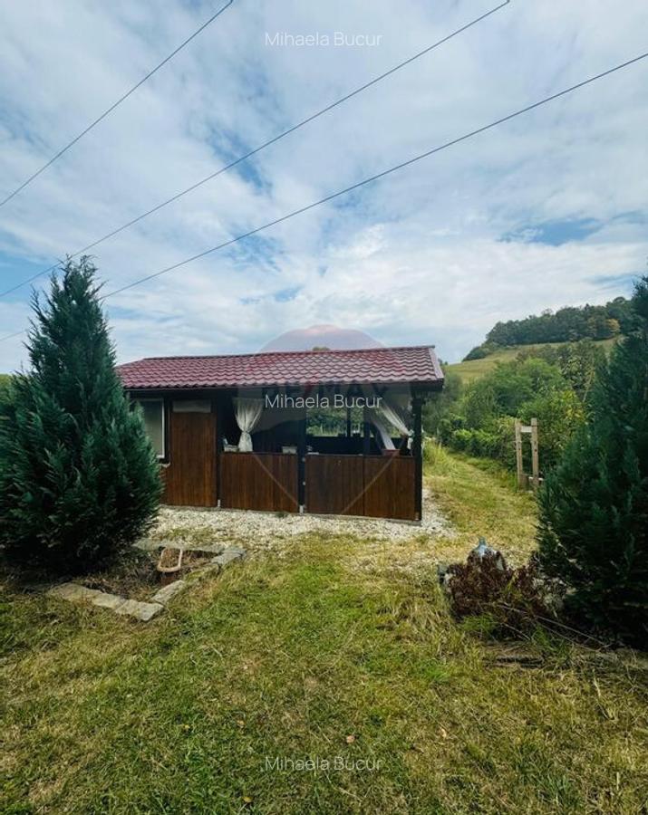 Teren Drumul Buzdului cu o cabana mica - 5