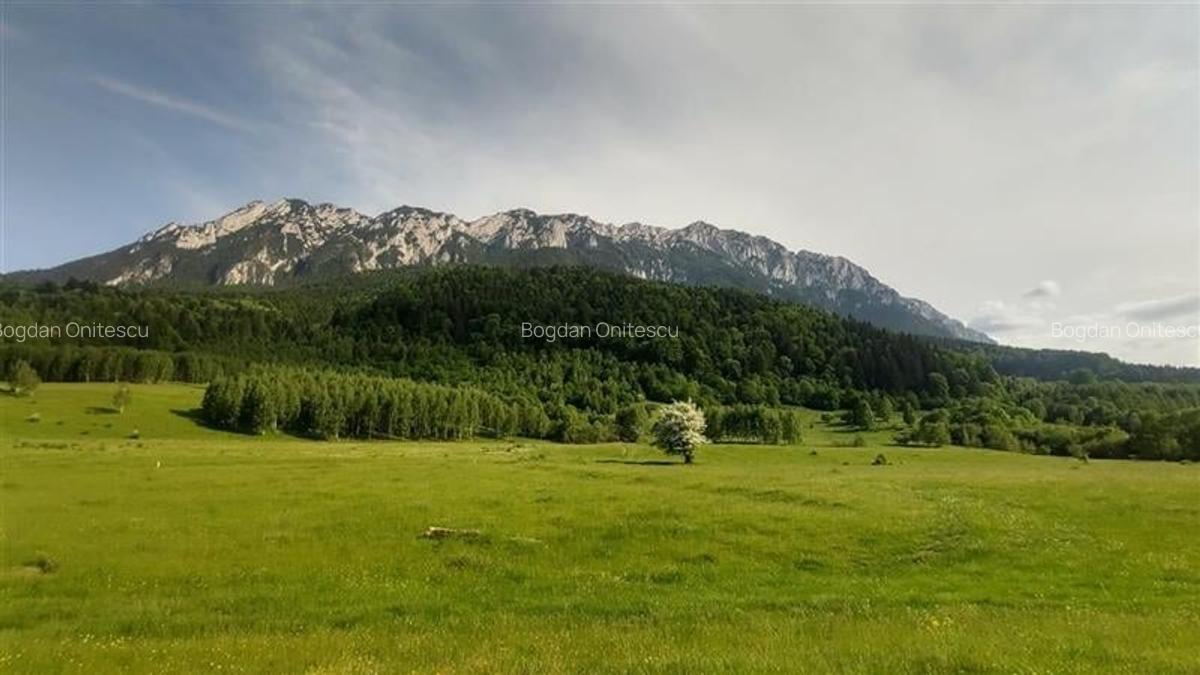 Teren Construcții intravilan de 3103 mp, în Plaiul Foii - 1