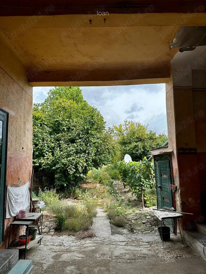 Casa de patrimoniu rural, sfar?it secol XIX Otelec - 8