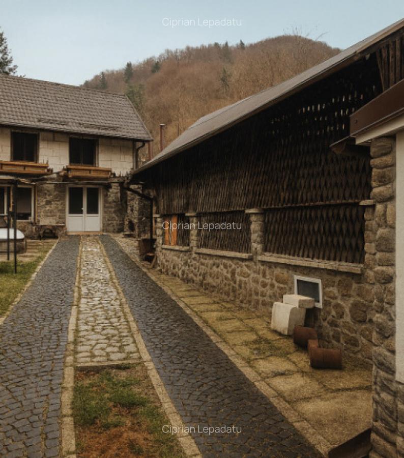 Case de vacanta zona Rasinari - 4