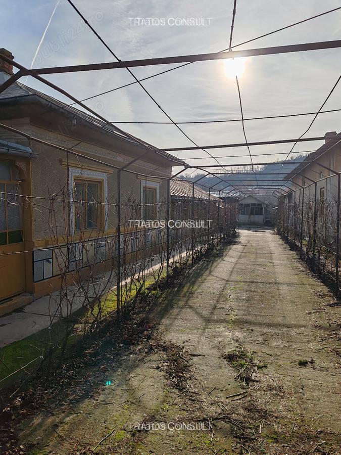 Casa Comuna Hotarele,Giurgiu - 6