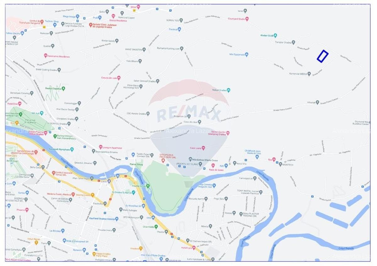 Teren Construcții intravilan de 5511 mp, în Dealuri Oradea - 5