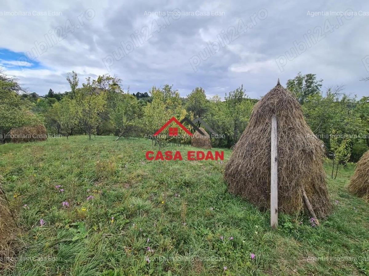 Teren intravilan in Sotrile--1671m--13e - 3