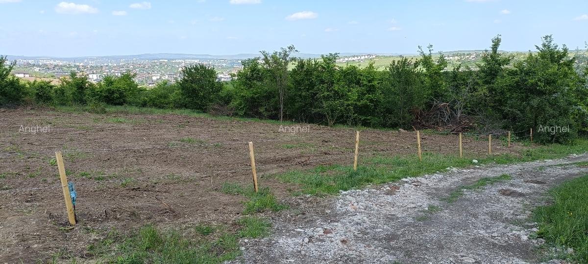 Teren de vânzare, 1079 m2(2parcele), Visan, jud.Iasi.Proprietar! - 6