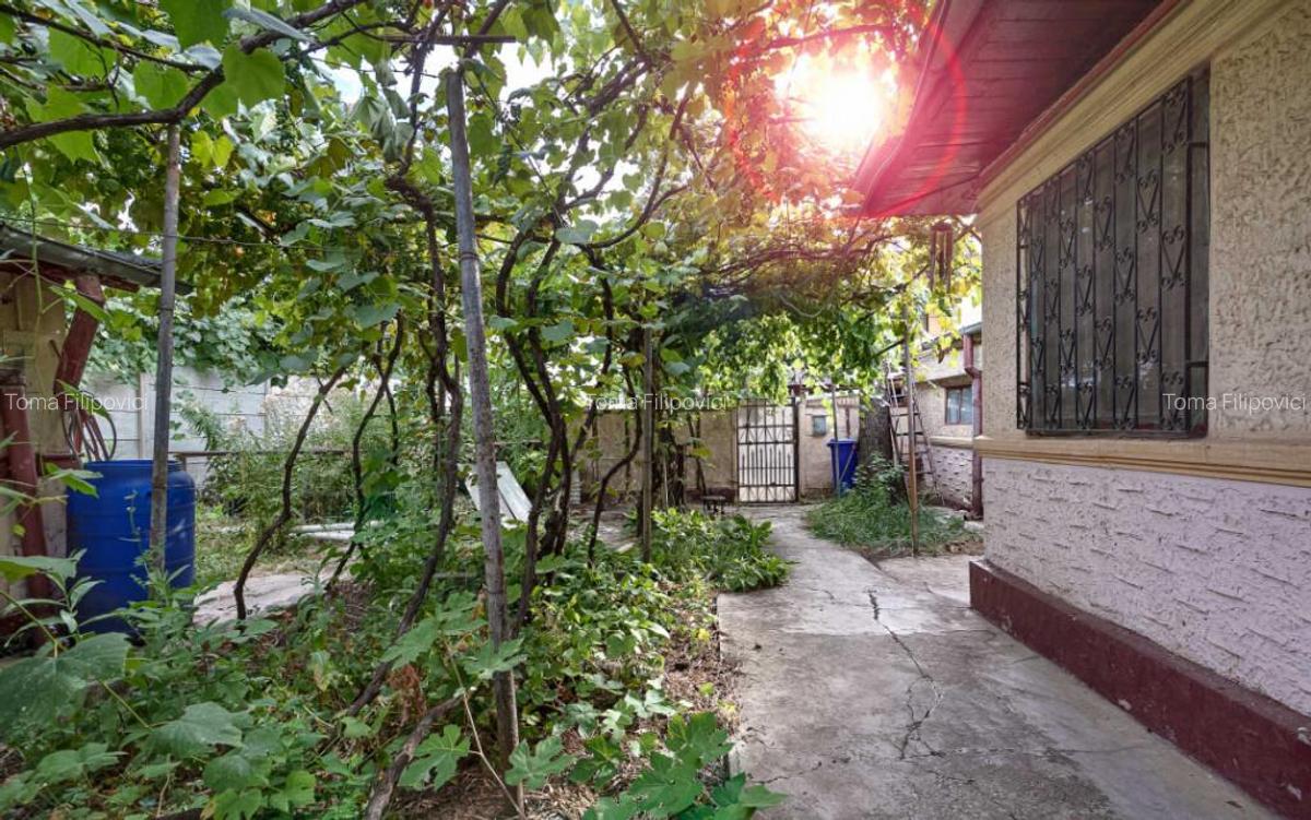 COLENTINA - POEZIEI, CASA RENOVABILA 120 MP, LOT 243 MP! - 1