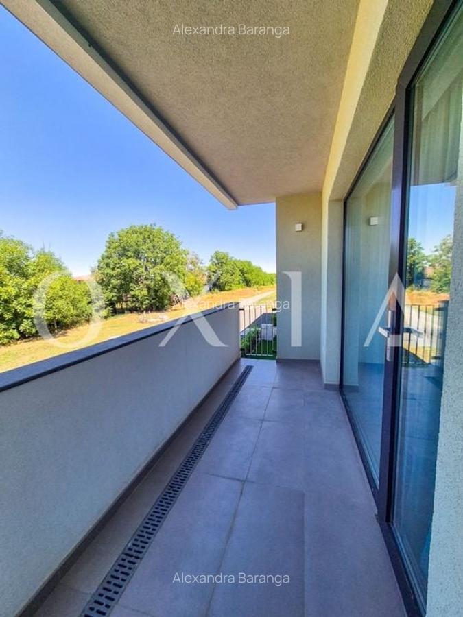 AX1068 Dumbravita, Bulevardul Petre Tutea, Prima Inchiriere - 18